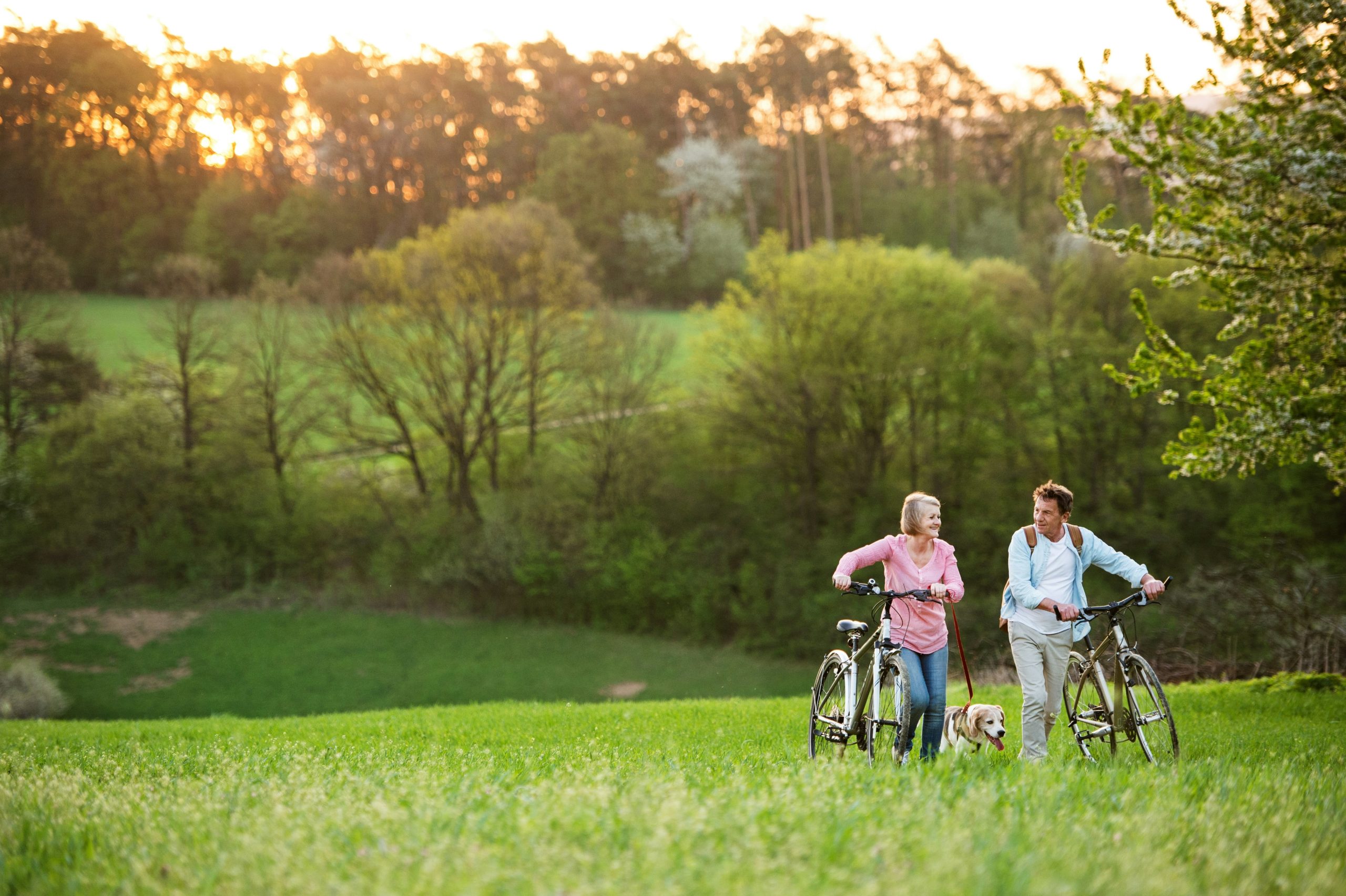 A couple riding bicycles along a country path at sunset